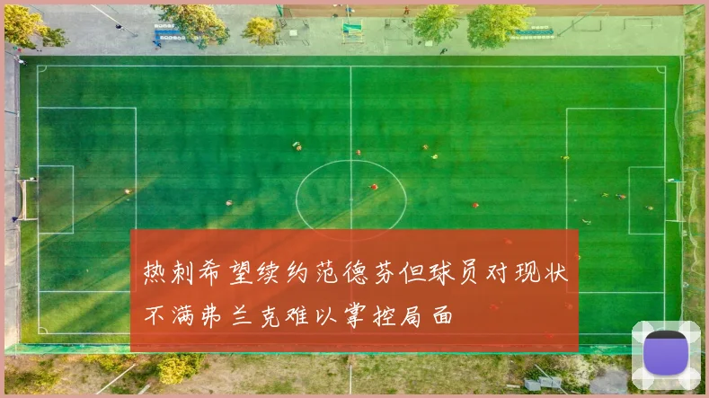 热刺希望续约范德芬但球员对现状不满弗兰克难以掌控局面