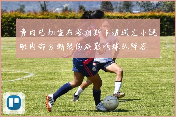 费内巴切宣布塔利斯卡遭遇左小腿肌肉部分撕裂伤病影响球队阵容
