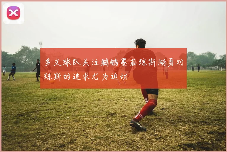 多支球队关注鹈鹕墨菲琼斯湖勇对琼斯的追求尤为迫切