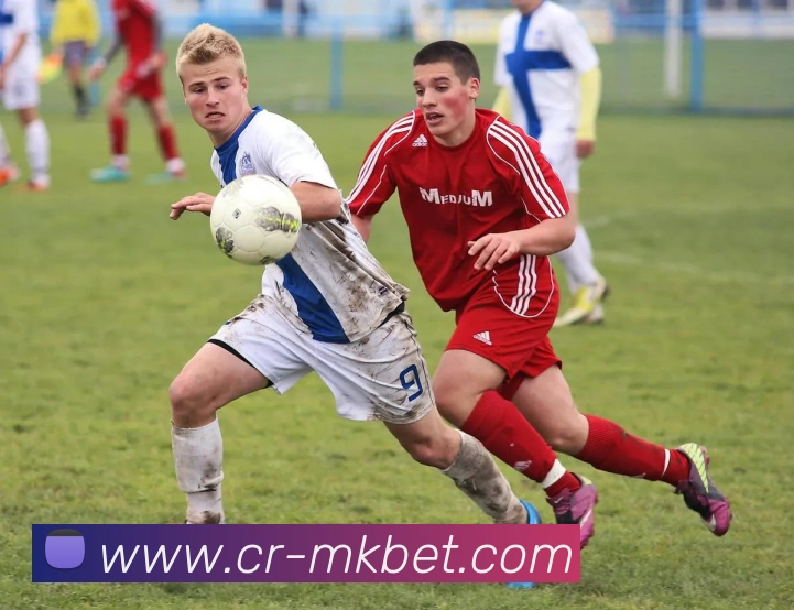 MK体育平台生态图