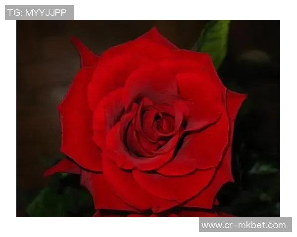 夸梅自豪分享被MJ扇巴掌经历称人生圆满的独特感受